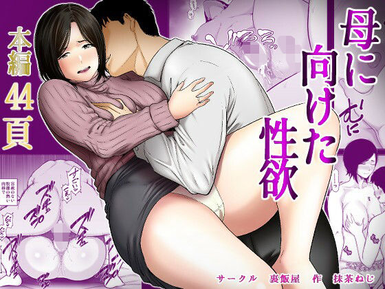 母に向けた性欲 アイキャッチ画像 【エロいイナヅマ】