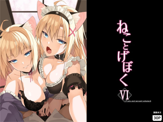 ねことげぼくVI アイキャッチ画像 【エロいイナヅマ】