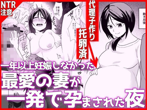 1年以上妊娠しなかった最愛の妻が一発で孕まされた夜 アイキャッチ画像 【エロいイナヅマ】