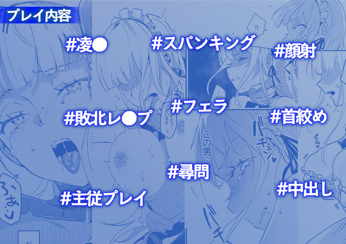 凌辱、スパンキング、顔射、フェラ、首絞め、主従プレイ、尋問、中出し