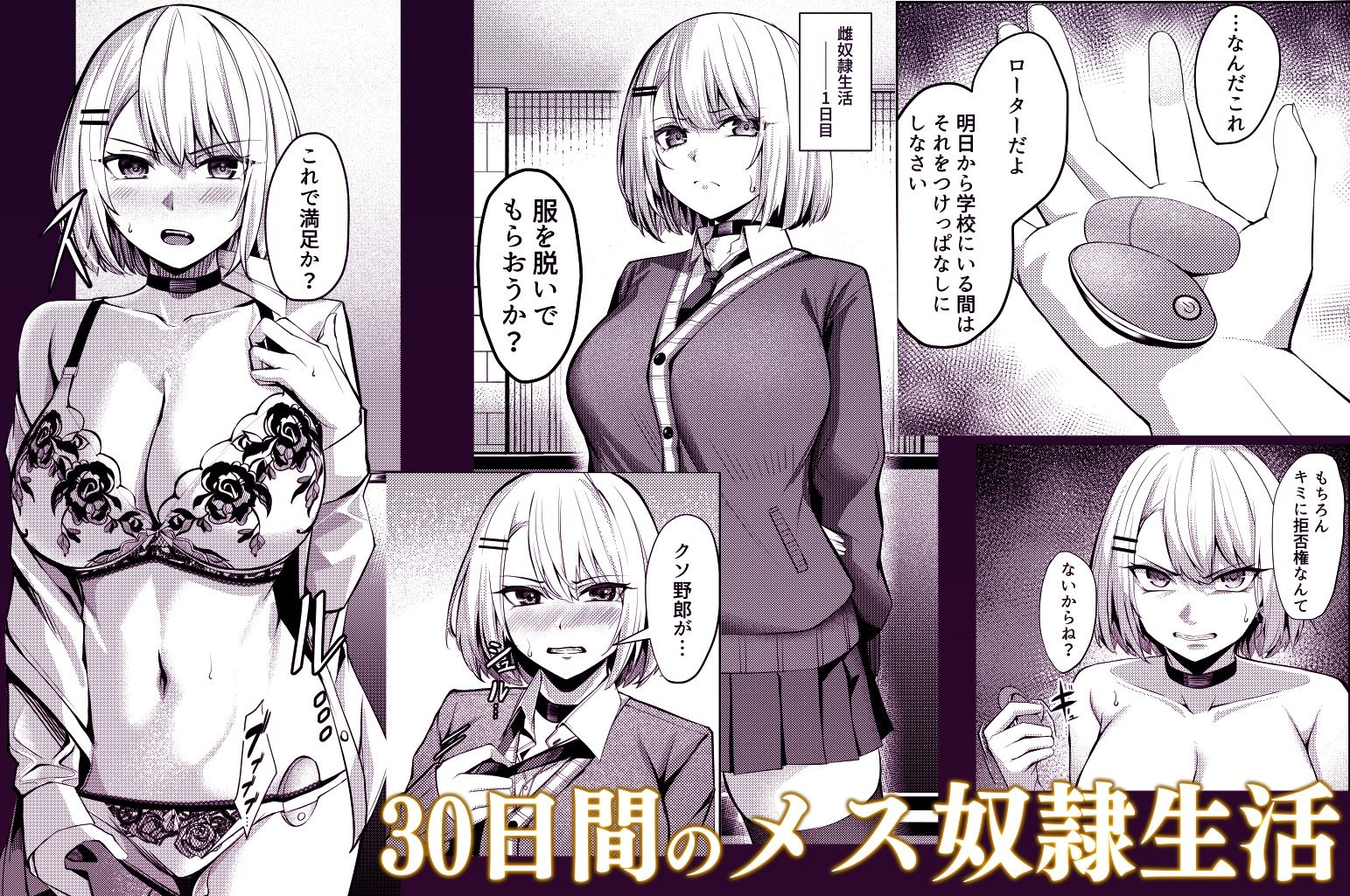 30日間の雌奴隷生活